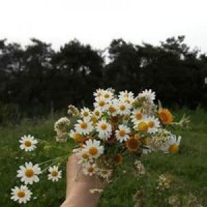 Imra'atul Ma'rufah profile icon