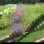 Adeleasfita Saliun profile icon