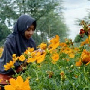 Firdha A. Y. profile icon