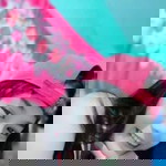 Sarah Jhane Bamby Bentoso profile icon