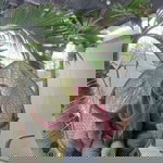 Desi Apriyani profile icon