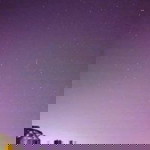 Nur Nisa profile icon