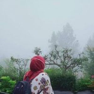 Dewi Susanti profile icon