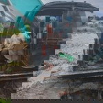 tono Kinjeng profile icon