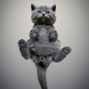 Dicky Ocsiandi profile icon