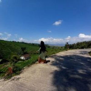 Hilmi Qurotull Aenii profile icon