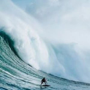 Nafacuna profile icon