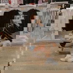 Ipiz RK profile icon