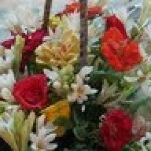 Kanza Ahmed profile icon