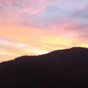 Febry Fhonii profile icon