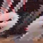 เดินดงพงไพร ใจอยากเข้าป่า profile icon