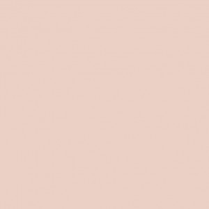 Nurul Syahfikah profile icon