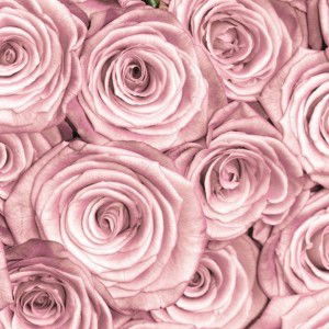 Syira Z profile icon