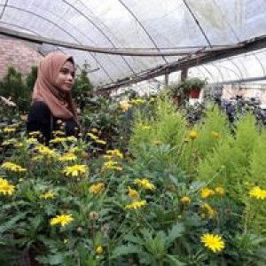 Faezzah Radzuan profile icon