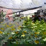 Faezzah Radzuan profile icon