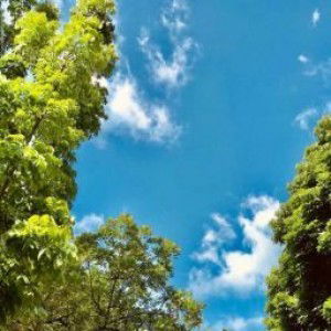 Dian Fitriani profile icon