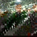 Theerapon Bunkung profile icon