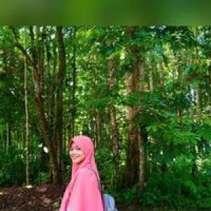 Lhya Rows profile icon