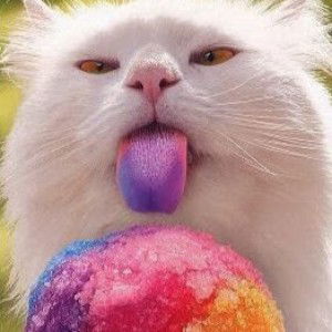 n. affiqa profile icon