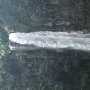 Landi Ana profile icon