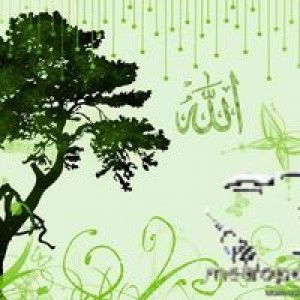 Azizah Findy Pradiastuti profile icon