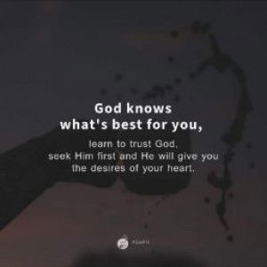 Joan Abalos profile icon