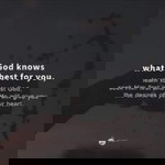 Joan Abalos profile icon