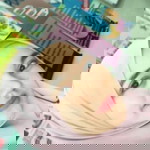 Syakirah Zahadi profile icon