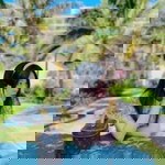 Jessica Omi profile icon