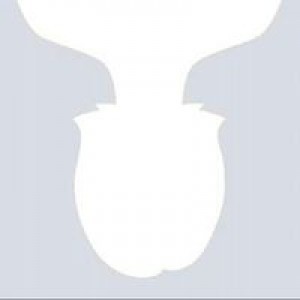 Erna Setiawati profile icon