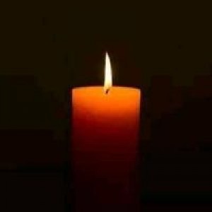 Jolina Pelea profile icon