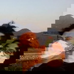 Ovi Syafiatul Maulana profile icon