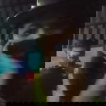 เรื่องงานไม่ขยับ เรื่องกินตับขอให้บอก profile icon