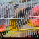 SITI NORITA profile icon