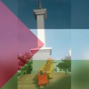 Ann Aim profile icon