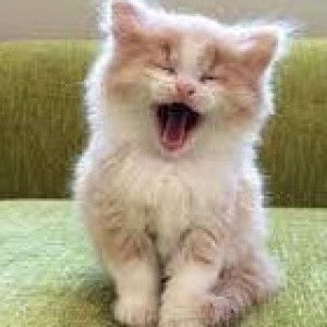 Denise Angelica David profile icon