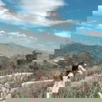 วัชลา วลี. profile icon