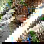 มัฒธณิฎาศ์ ไตรธิเลน profile icon