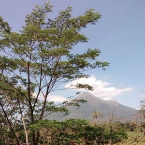 Riski Setyowati profile icon