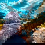 Ainnie Ainnies profile icon