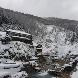 Mydear Nour profile icon