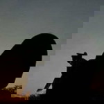 Irha Why Notdzz profile icon