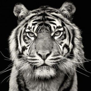 kkay5581 profile icon