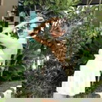 Thitima Sudjaidee profile icon