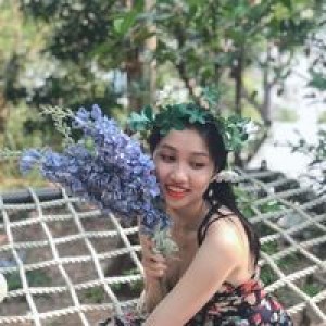 Hoàng Oanh profile icon