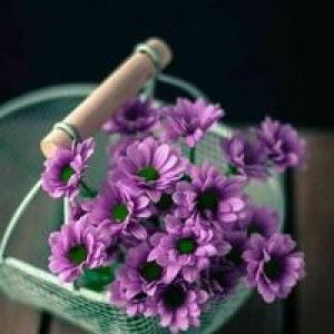 Yulia Ningsih profile icon