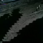 Maulida Luluk profile icon