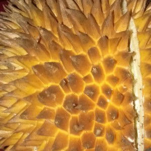 Kadek Dwi Jayanti profile icon