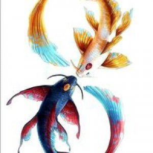 หมูอ้วน อ้วน profile icon