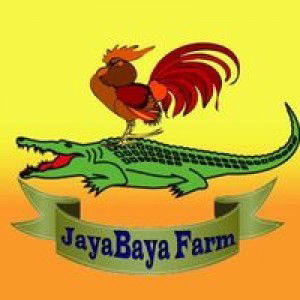 Jaya Baya Fam profile icon